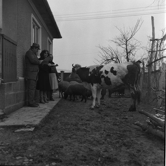 minerva_1988_agrar_c2r4_018