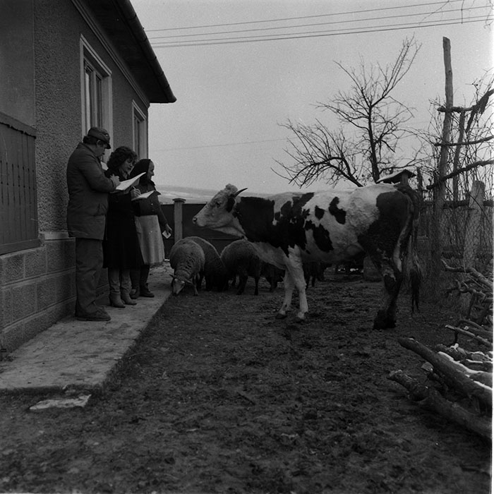 minerva_1988_agrar_c2r4_019