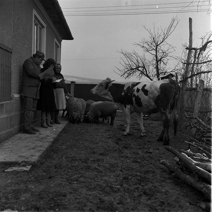 minerva_1988_agrar_c2r4_020