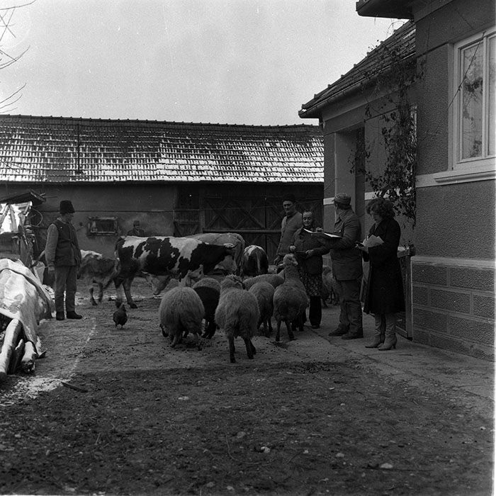 minerva_1988_agrar_c2r4_021