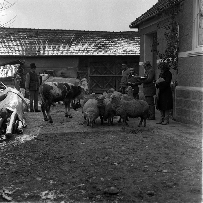 minerva_1988_agrar_c2r4_022