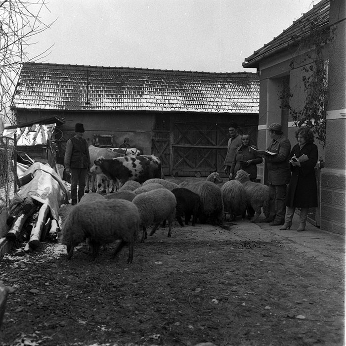 minerva_1988_agrar_c2r4_023