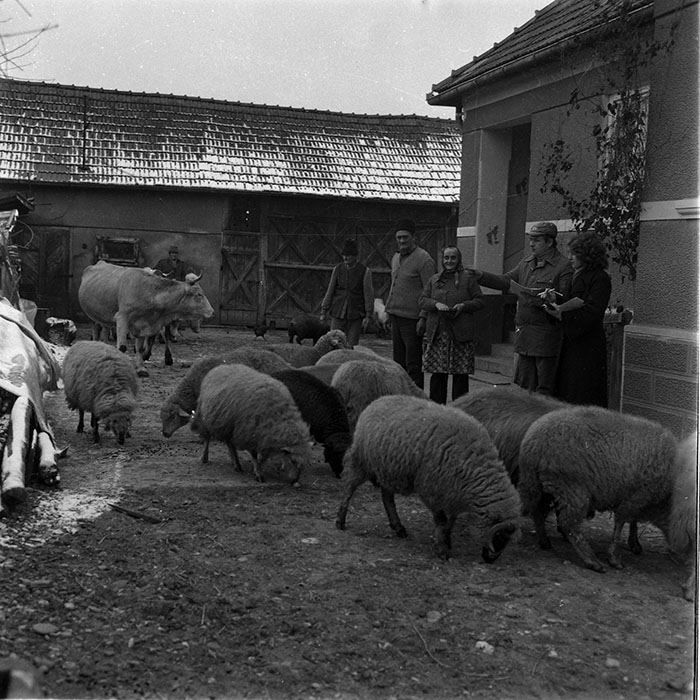 minerva_1988_agrar_c2r4_024