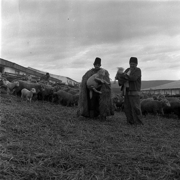 minerva_1988_agrar_c2r5_001