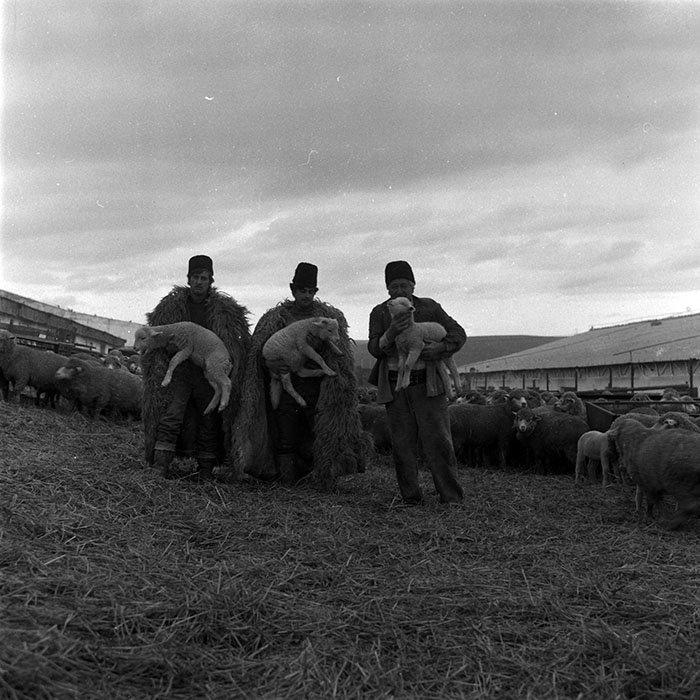 minerva_1988_agrar_c2r5_002