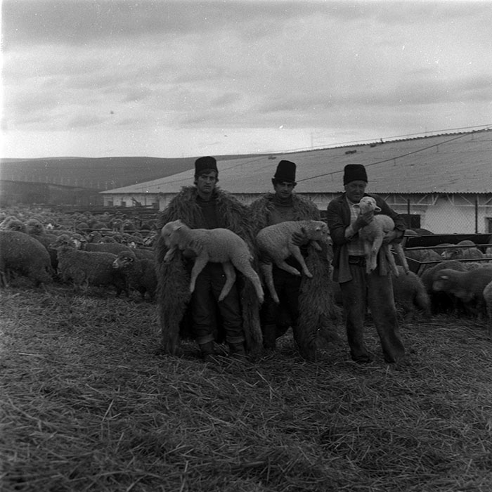 minerva_1988_agrar_c2r5_003