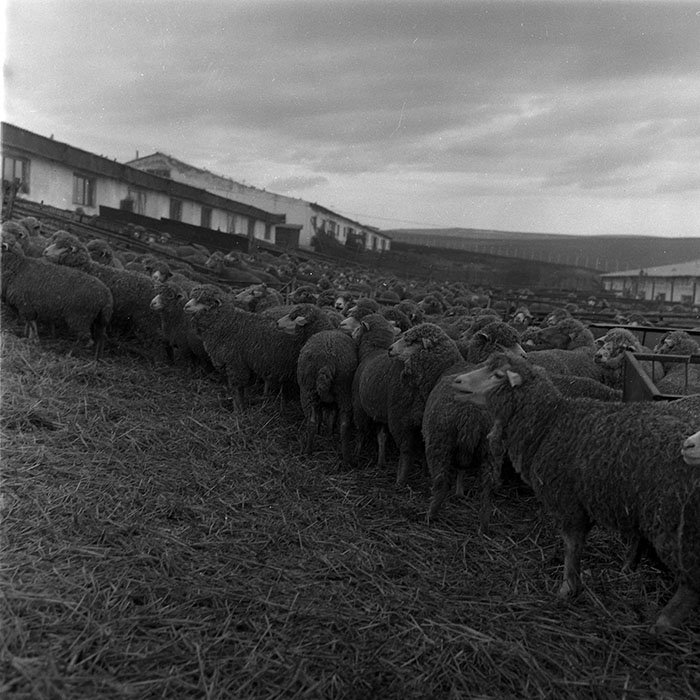 minerva_1988_agrar_c2r5_004