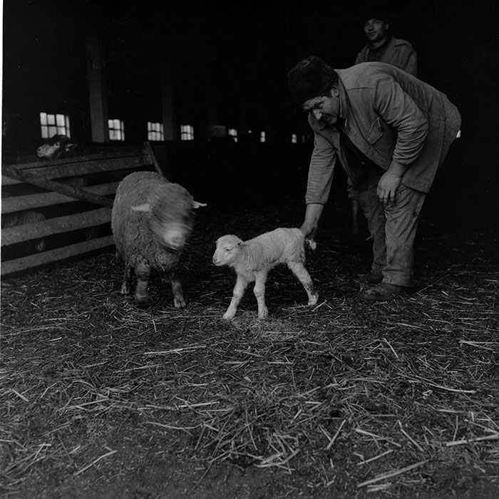 minerva_1988_agrar_c2r5_007