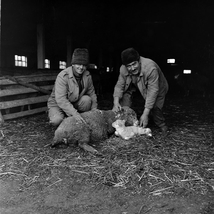 minerva_1988_agrar_c2r5_008