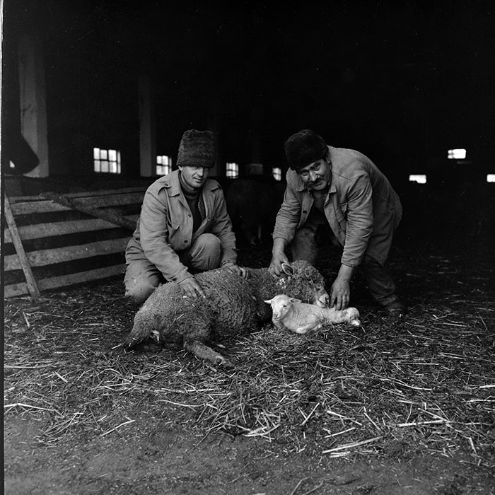 minerva_1988_agrar_c2r5_009