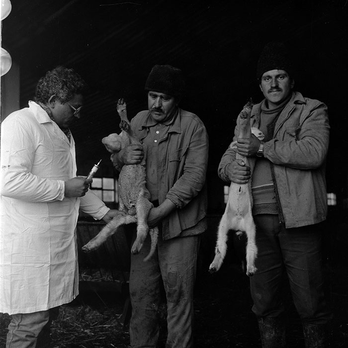 minerva_1988_agrar_c2r5_010