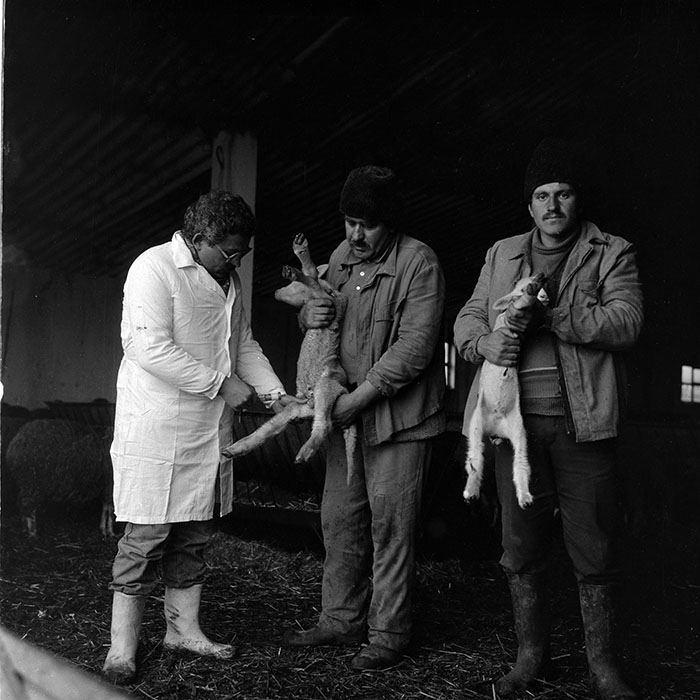 minerva_1988_agrar_c2r5_011