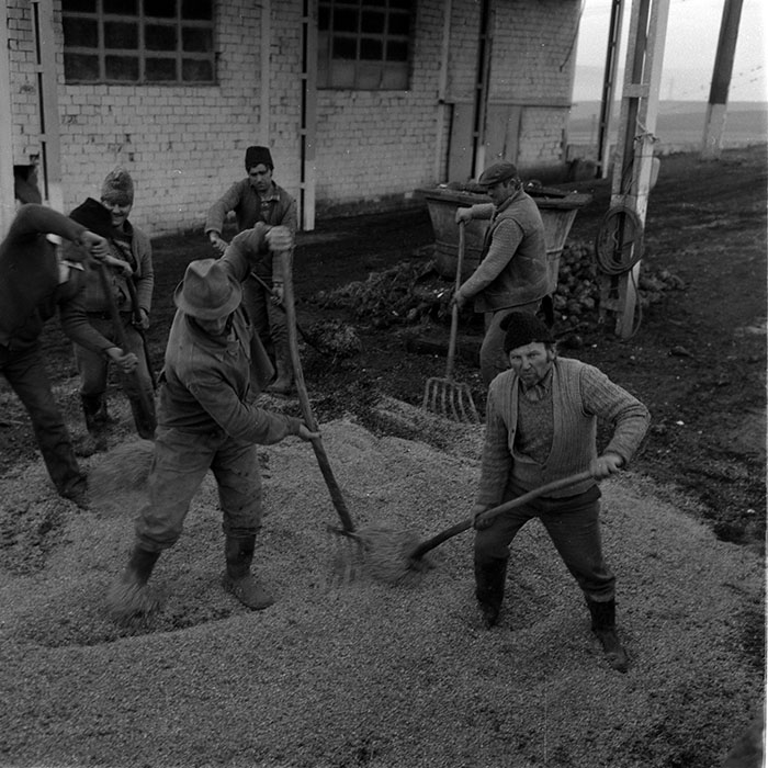 minerva_1988_agrar_c2r5_014