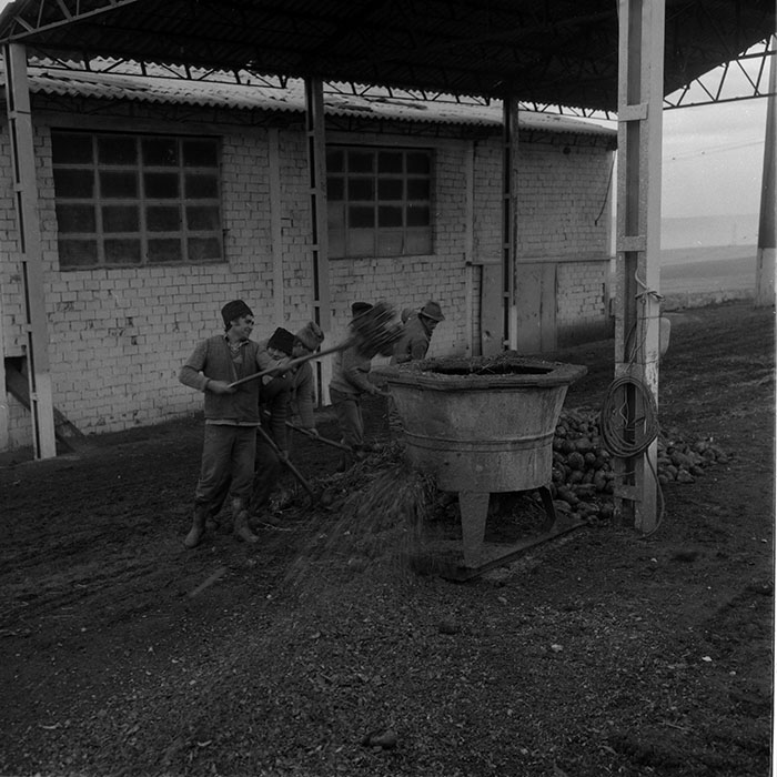 minerva_1988_agrar_c2r5_016