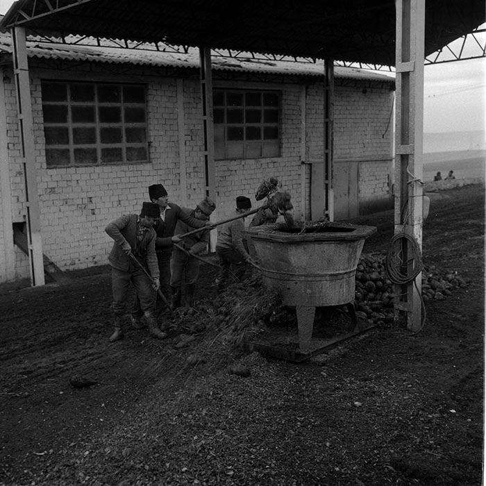 minerva_1988_agrar_c2r5_017