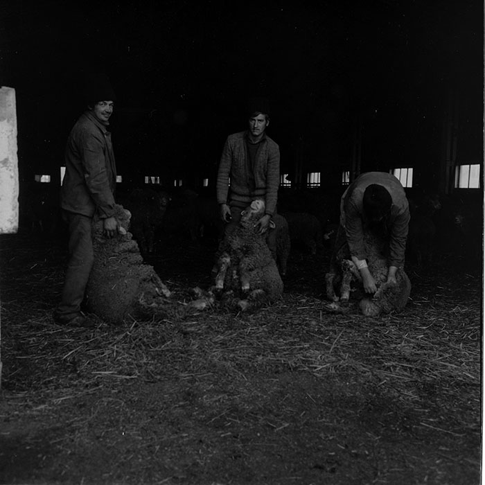 minerva_1988_agrar_c2r5_020