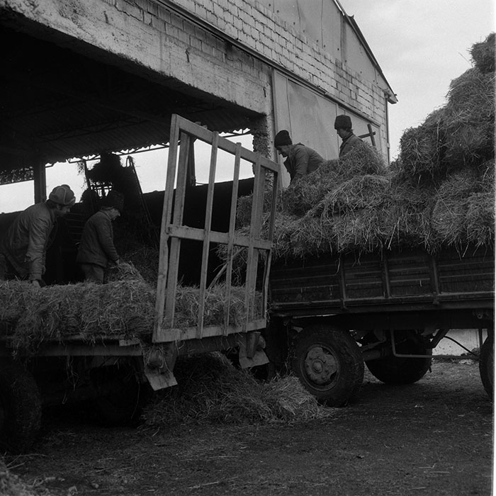 minerva_1988_agrar_c2r5_023