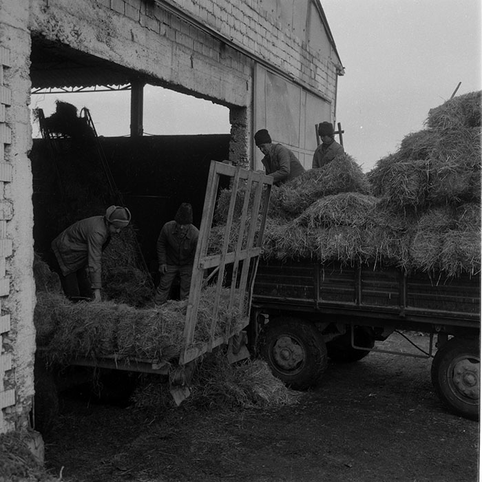 minerva_1988_agrar_c2r5_024