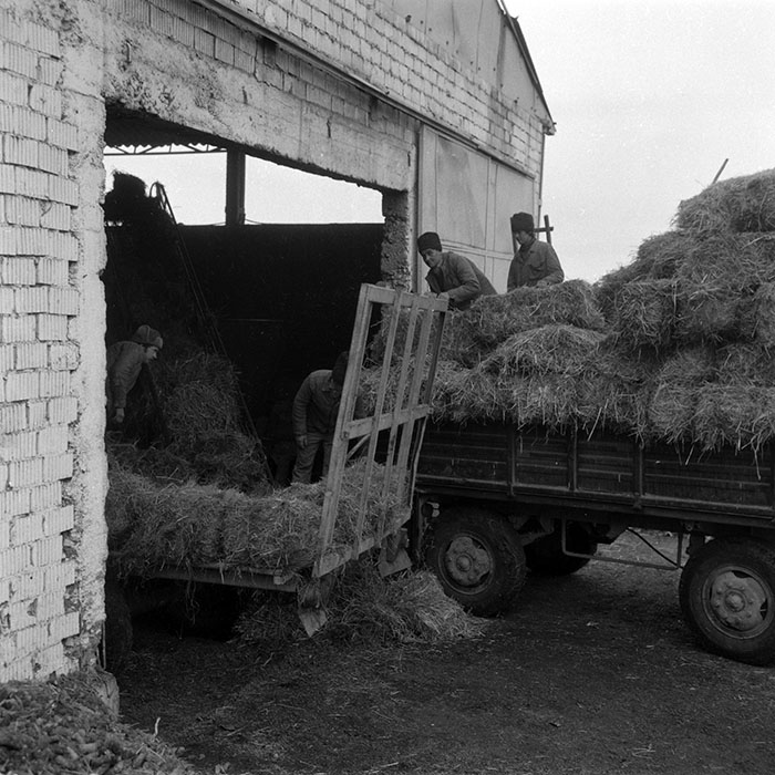 minerva_1988_agrar_c2r5_025