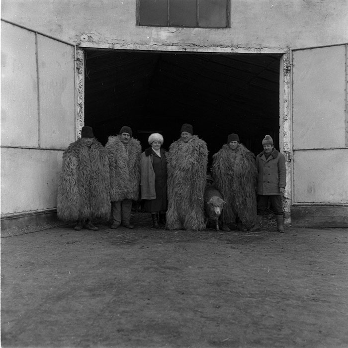 minerva_1988_agrar_c2r5_028