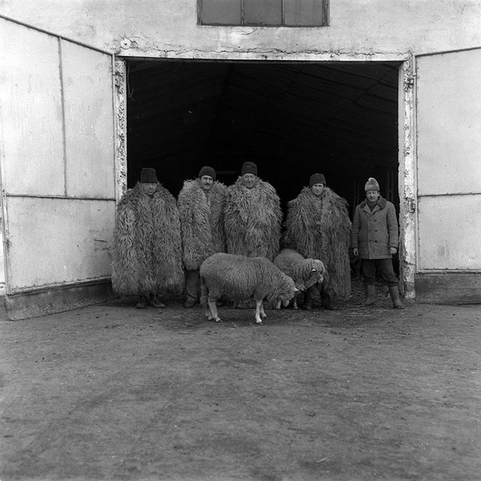 minerva_1988_agrar_c2r5_029