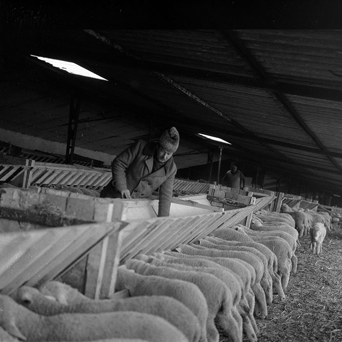 minerva_1988_agrar_c2r5_030