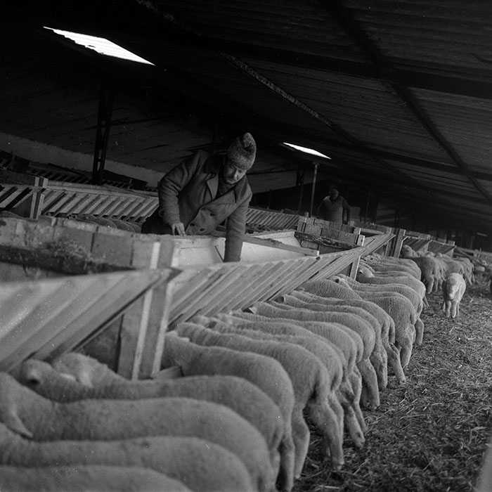 minerva_1988_agrar_c2r5_031