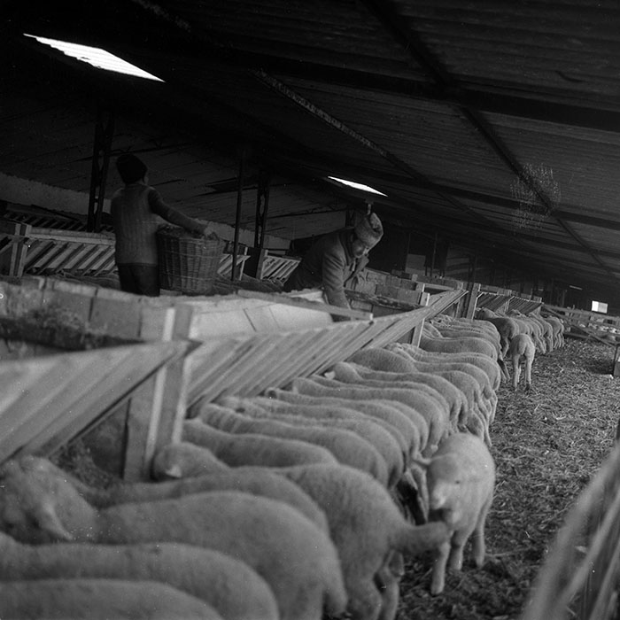 minerva_1988_agrar_c2r5_032