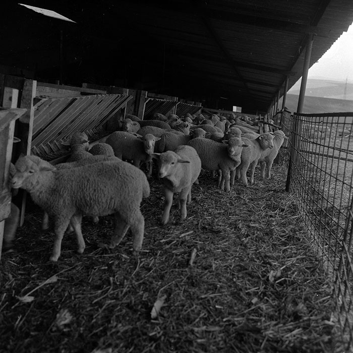 minerva_1988_agrar_c2r5_035