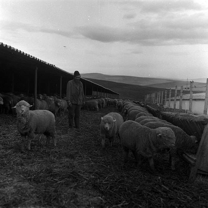 minerva_1988_agrar_c2r5_037