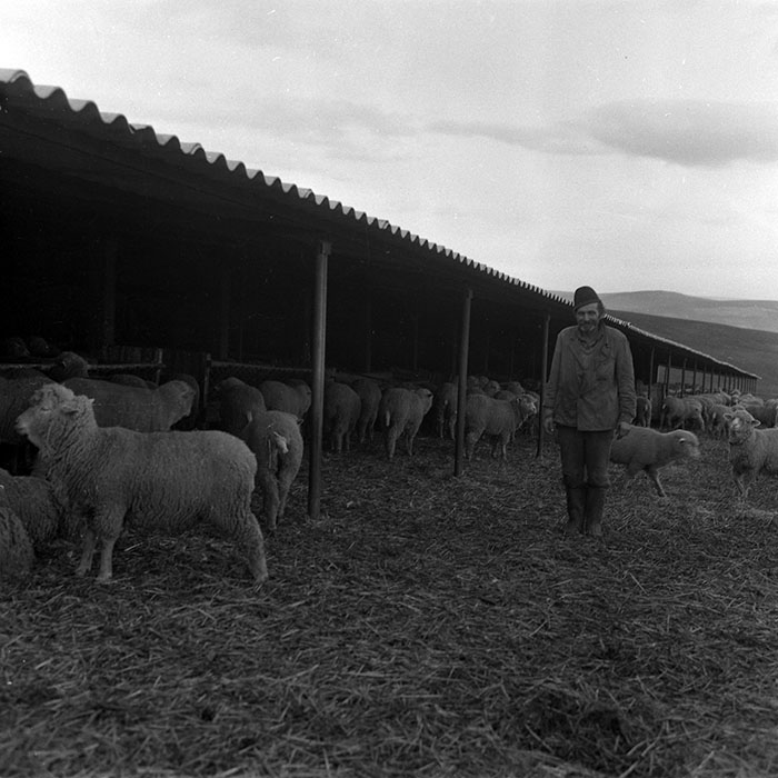 minerva_1988_agrar_c2r5_038