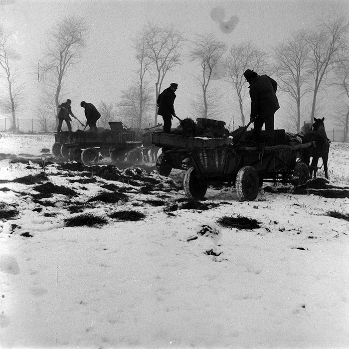 minerva_1988_agrar_c3r1_002