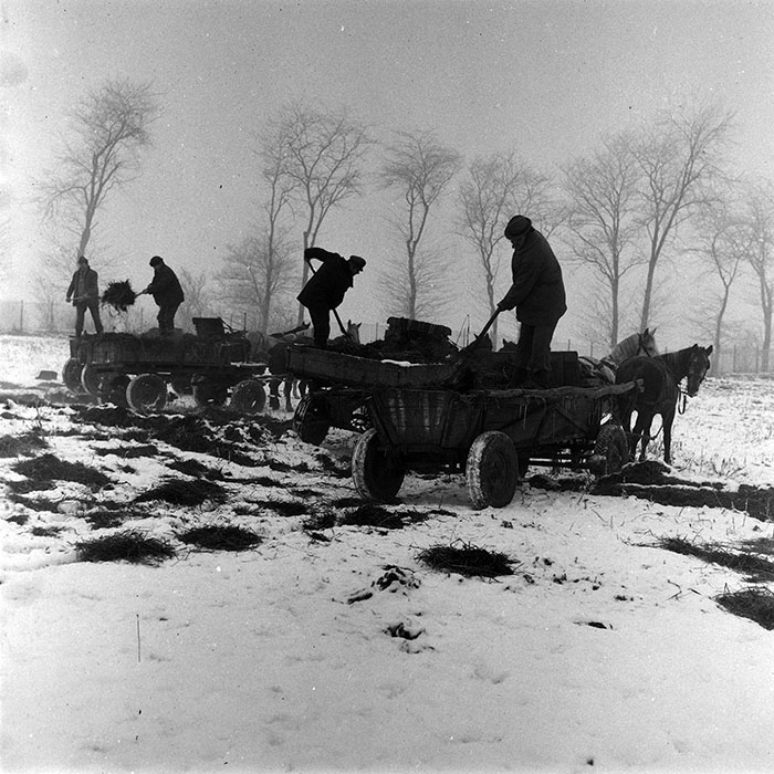 minerva_1988_agrar_c3r1_003