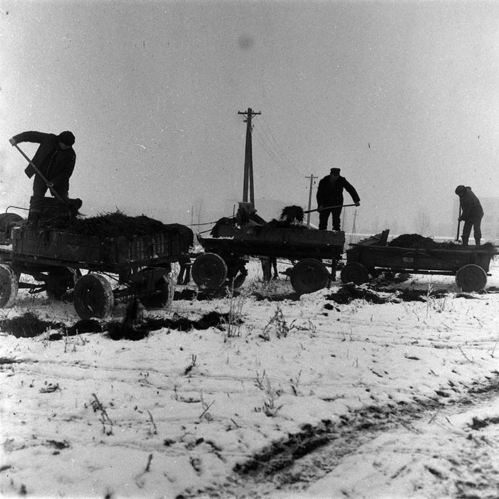 minerva_1988_agrar_c3r1_004