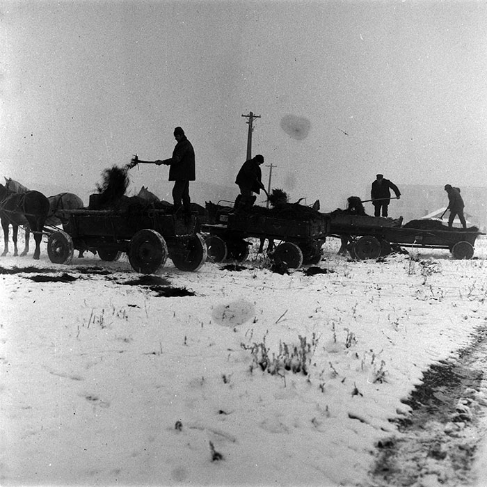 minerva_1988_agrar_c3r1_005