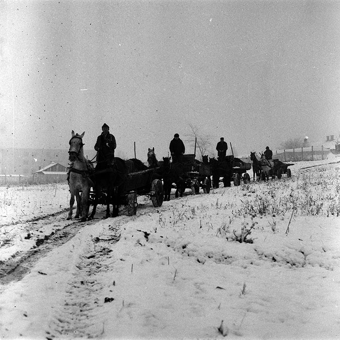 minerva_1988_agrar_c3r1_007