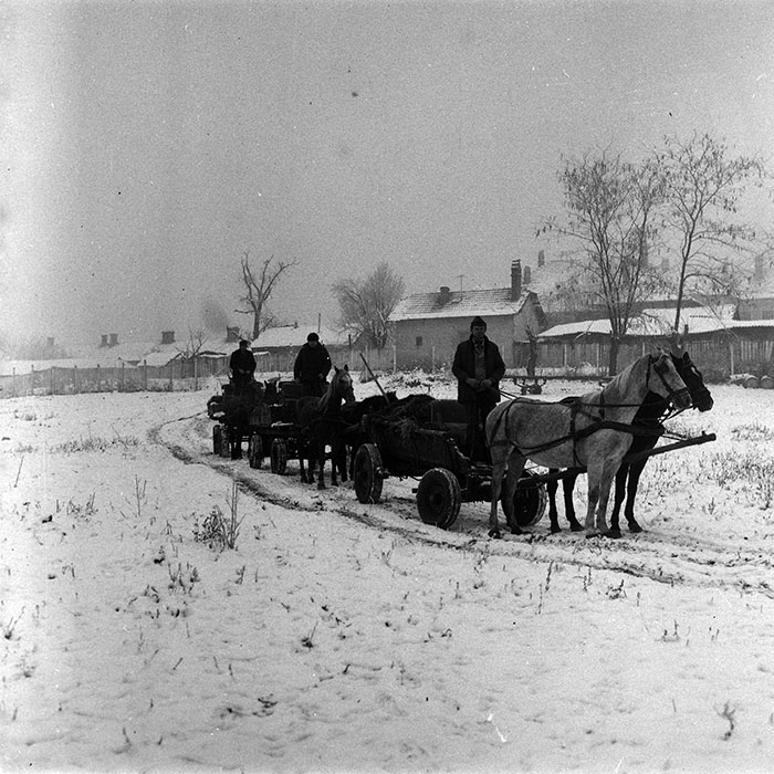 minerva_1988_agrar_c3r1_008