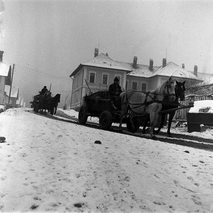 minerva_1988_agrar_c3r1_009