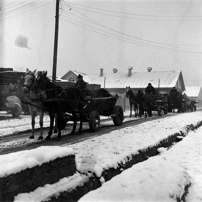 minerva_1988_agrar_c3r1_011