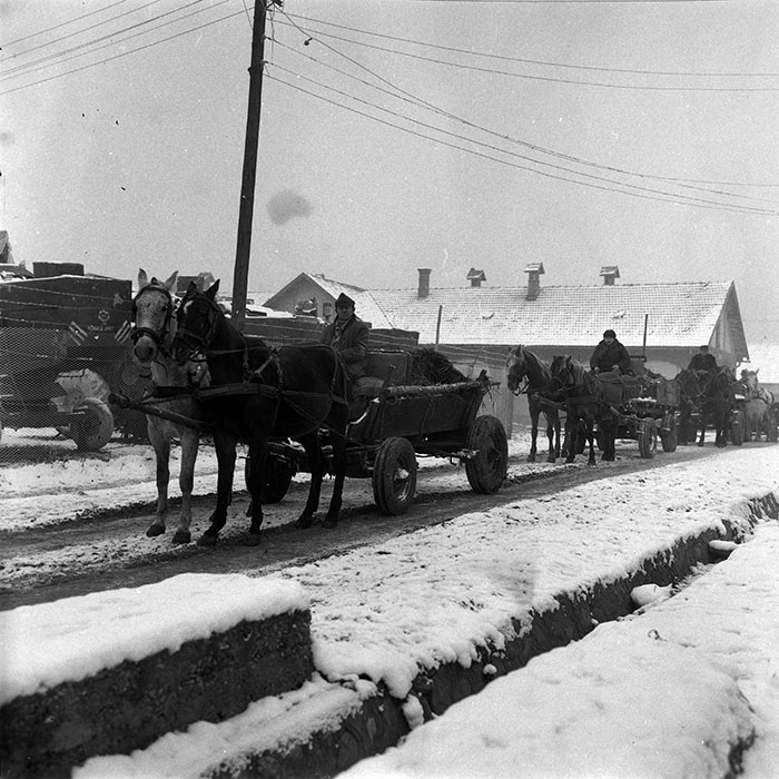 minerva_1988_agrar_c3r1_012