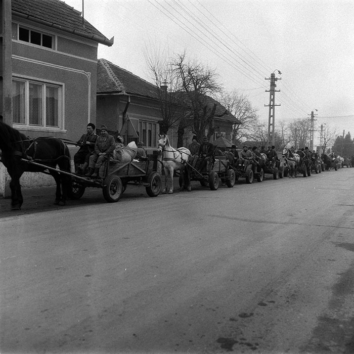 minerva_1988_agrar_c3r1_018