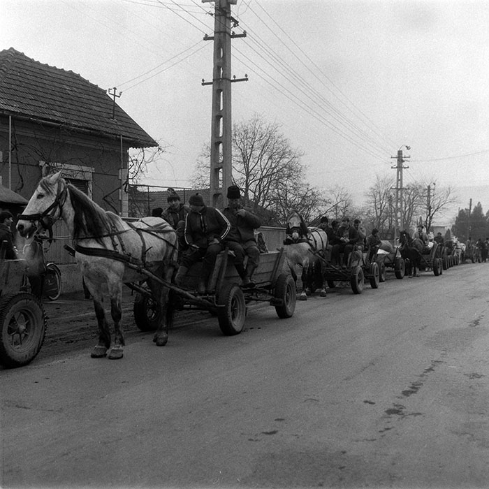 minerva_1988_agrar_c3r1_019