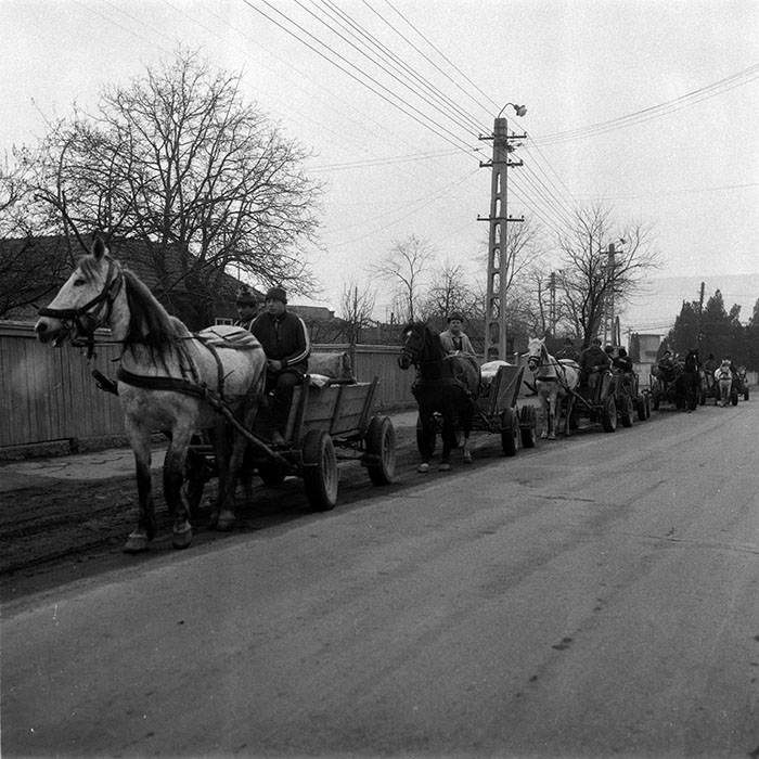 minerva_1988_agrar_c3r1_021