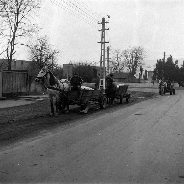 minerva_1988_agrar_c3r1_022