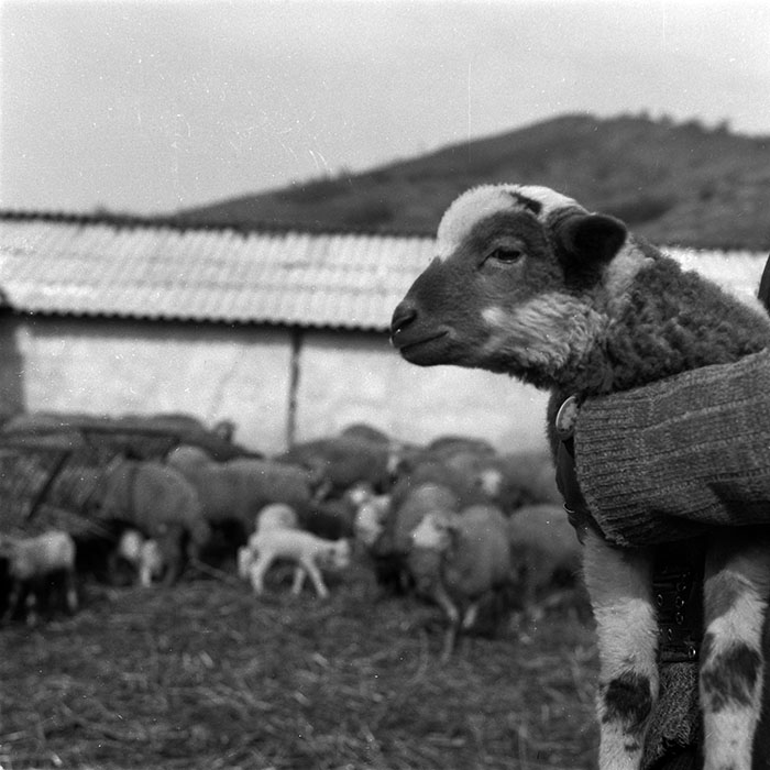 minerva_1988_agrar_c3r2_001