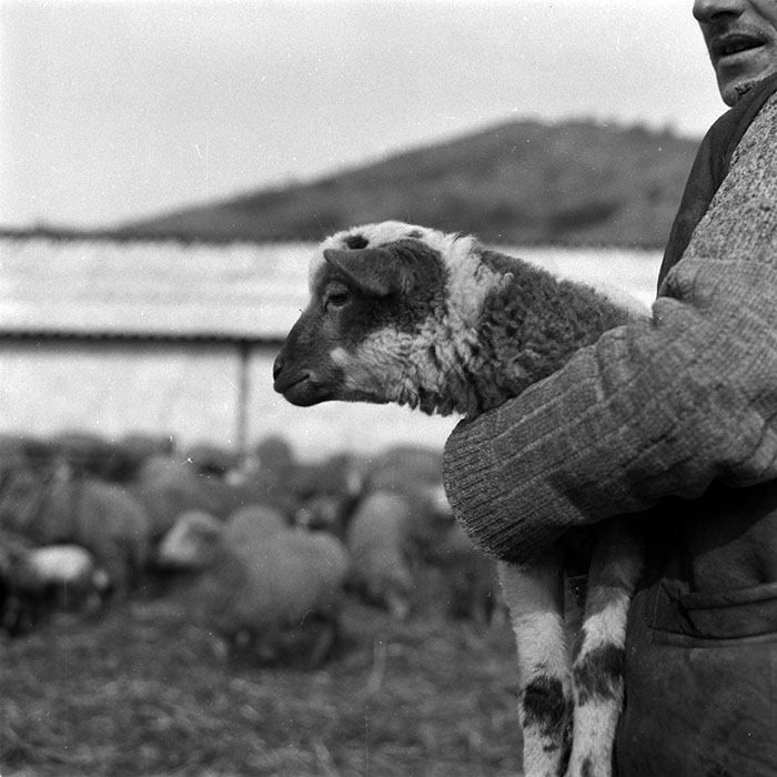 minerva_1988_agrar_c3r2_002