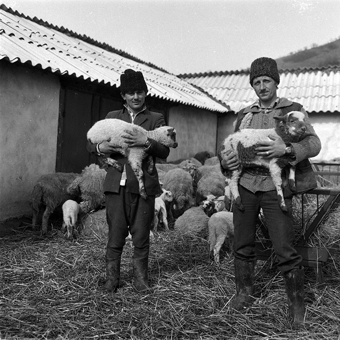 minerva_1988_agrar_c3r2_003