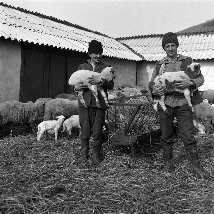 minerva_1988_agrar_c3r2_004