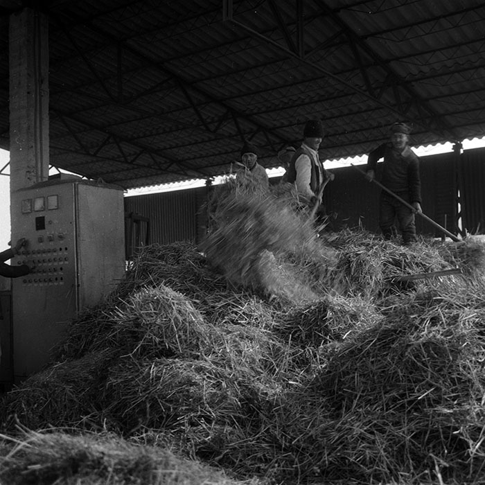 minerva_1988_agrar_c3r2_006