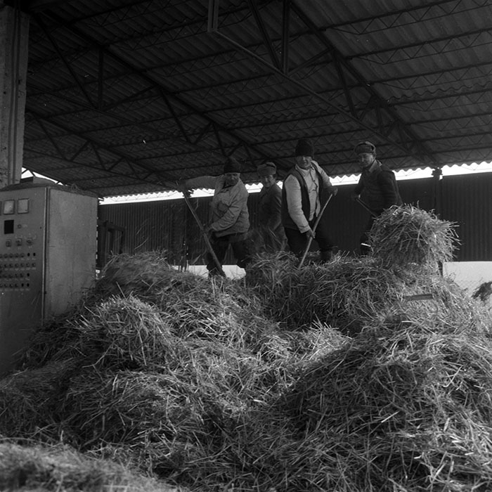 minerva_1988_agrar_c3r2_007